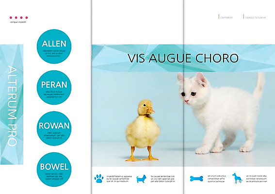 PSD 동물 템플릿 편집 표지디자인 북디자인 출판디자인 내지 새끼 리플렛 백그라운드 두마리 북커버 3단접지 조류 뼈 오리 팜플렛 사람없음 반려동물 고양이 발자국 반려 이미지템플릿 2 포유류 자국 파일형식