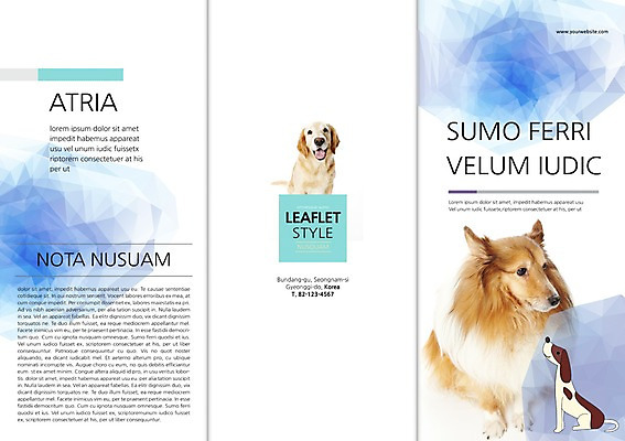 PSD 동물 템플릿 편집 표지디자인 북디자인 출판디자인 표지 리플렛 백그라운드 북커버 3단접지 세마리 팜플렛 사람없음 반려동물 개 리트리버 강아지 반려 이미지템플릿 포유류 3 파일형식