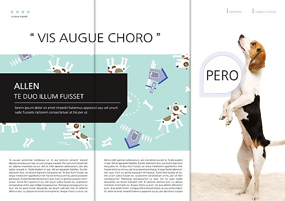 PSD 동물 템플릿 편집 표지디자인 북디자인 출판디자인 내지 리플렛 백그라운드 북커버 3단접지 뼈 주택 서기 팜플렛 사람없음 울타리 반려동물 개 강아지 묘기 비글 개집 반려 이미지템플릿 포유류 모션 건물 담장 애견용품 파일형식