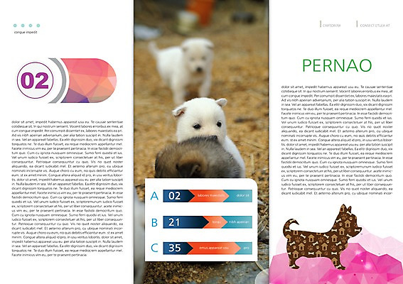 PSD 동물 템플릿 편집 표지디자인 북디자인 출판디자인 내지 새끼 리플렛 백그라운드 북커버 3단접지 주택 팜플렛 사람없음 반려동물 개 강아지 반려 이미지템플릿 포유류 건물 파일형식