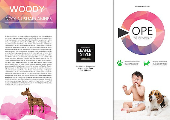 전신 PSD 동물 템플릿 편집 표지디자인 북디자인 출판디자인 표지 남자 리플렛 백그라운드 북커버 3단접지 한명 사람 앉기 동양인 팜플렛 반려동물 한국인 아기 개 강아지 울음 발자국 비글 반려 남자만 남자한명만 아기만 남자아기만 남자아기한명만 이미지템플릿 1 포유류 자국 모션 표정 인종 파일형식