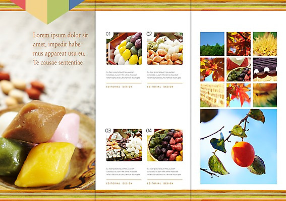 PSD 식물 템플릿 편집 한국문화 한국전통 전통 표지디자인 북디자인 출판디자인 계절 명절 열매 내지 전통문화 한식 음식 리플렛 백그라운드 단풍 북커버 과일 3단접지 나뭇잎 떡 한국 기와 감 팜플렛 사람없음 담장 요식업 전통음식 가을 나뭇가지 송편 이미지템플릿 나무 동양문화 기념일 산업 아시아 문화 잎 파일형식