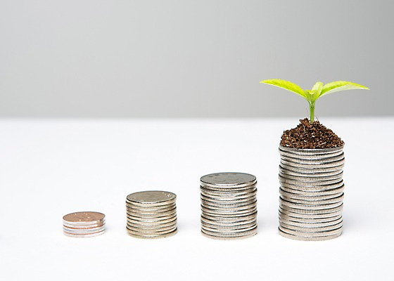 포토 JPG 스튜디오촬영 배경화면 백그라운드 돈 사람없음 금융 경제 쌓기 새싹 동전 흙 절약 심기 국내포토 식물 컨셉 모션 실내 재산 파일형식
