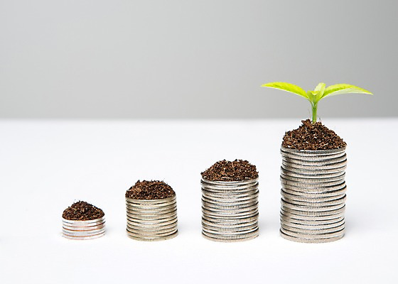 포토 JPG 스튜디오촬영 배경화면 백그라운드 돈 사람없음 금융 경제 쌓기 새싹 동전 흙 절약 심기 국내포토 식물 컨셉 모션 실내 재산 파일형식