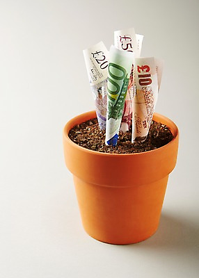 포토 JPG 스튜디오촬영 화분 백그라운드 지폐 돈 사람없음 금융 경제 흙 유로 심기 국내포토 모션 실내 재산 파일형식