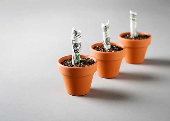 포토 JPG 스튜디오촬영 화분 배경화면 백그라운드 지폐 돈 사람없음 금융 경제 달러 흙 심기 국내포토 모션 실내 재산 파일형식