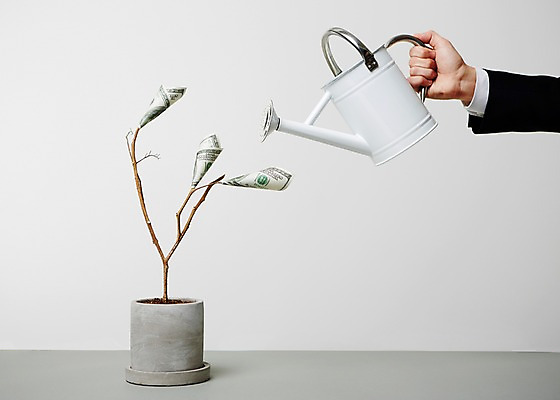 포토 JPG 스튜디오촬영 나무 손 화분 백그라운드 지폐 돈 사람 신체부위 금융 경제 달러 물뿌리개 나뭇가지 국내포토 식물 실내 재산 파일형식