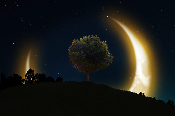 JPG 나무 식물 편집 편집이미지 실루엣 별 밤하늘 산 사람없음 빛 달 초승달 언덕 합성 디지털아트 편집실사 자연요소 하늘 촬영기법 야간 CG 파일형식