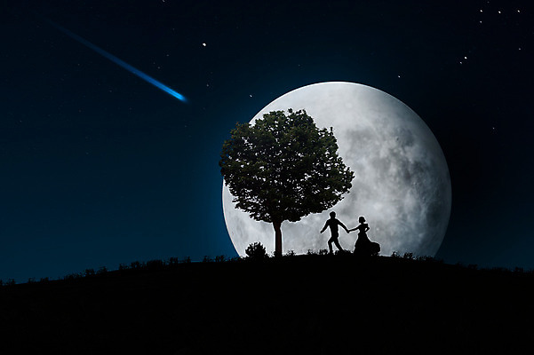 JPG 나무 식물 편집 편집이미지 커플 여자 남자 실루엣 별 밤하늘 사람 성인 야외 두명 빛 손잡기 보름달 달 야간 유성 언덕 합성 디지털아트 성인만 편집실사 자연요소 관계 모션 하늘 촬영기법 CG 파일형식