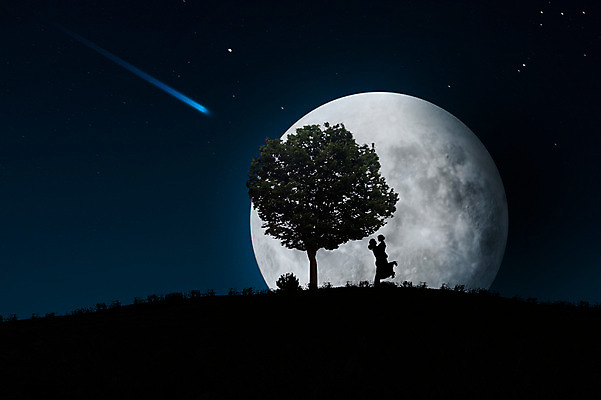 JPG 나무 식물 편집 편집이미지 커플 여자 남자 실루엣 별 포옹 밤하늘 사람 성인 야외 두명 빛 보름달 달 야간 유성 언덕 합성 디지털아트 성인만 편집실사 자연요소 관계 안기 하늘 촬영기법 CG 파일형식