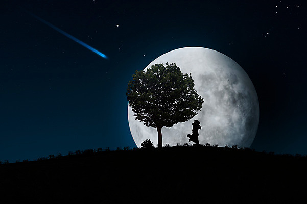 JPG 나무 식물 편집 편집이미지 커플 여자 남자 실루엣 별 포옹 밤하늘 사람 성인 야외 두명 빛 보름달 달 야간 유성 언덕 합성 디지털아트 성인만 편집실사 자연요소 관계 안기 하늘 촬영기법 CG 파일형식