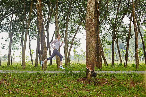 포토 JPG 주간 전신 서양인 외국인 나무 해외기획촬영 공원 여자 모션 2014년태국 한명 사람 성인 야외 옆모습 30대 운동복 조깅 운동 목표 열정 성인여자한명만 장년만 장년여자만 장년여자한명만 국내포토 자연요소 식물 1 옷 공공시설 감정 뷰포인트 컨셉 건강 인종 장년 여자만 여자한명만 성인여자만 성인만 파일형식