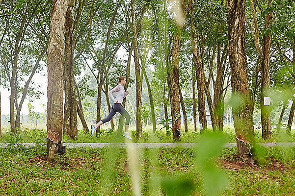 포토 JPG 주간 전신 서양인 외국인 나무 해외기획촬영 공원 여자 모션 2014년태국 한명 사람 성인 야외 옆모습 30대 운동복 조깅 운동 풀 목표 열정 성인여자한명만 장년만 장년여자만 장년여자한명만 국내포토 자연요소 식물 1 옷 공공시설 감정 뷰포인트 컨셉 건강 인종 장년 여자만 여자한명만 성인여자만 성인만 파일형식