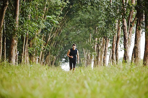 포토 JPG 주간 전신 서양인 외국인 나무 해외기획촬영 공원 남자 모션 2014년태국 한명 사람 성인 야외 앞모습 30대 운동복 달리기 운동 풀 목표 열정 성인남자한명만 장년만 장년남자만 장년남자한명만 국내포토 자연요소 식물 1 옷 공공시설 감정 뷰포인트 컨셉 건강 인종 장년 남자만 남자한명만 성인남자만 성인만 파일형식