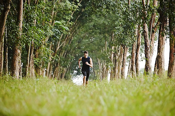 포토 JPG 주간 전신 서양인 외국인 나무 해외기획촬영 공원 남자 모션 2014년태국 한명 사람 성인 야외 앞모습 30대 운동복 달리기 운동 목표 열정 접착풀 성인남자한명만 장년만 장년남자만 장년남자한명만 국내포토 자연요소 식물 1 옷 공공시설 감정 뷰포인트 컨셉 문구용품 건강 인종 장년 풀_접착제 남자만 남자한명만 성인남자만 성인만 파일형식