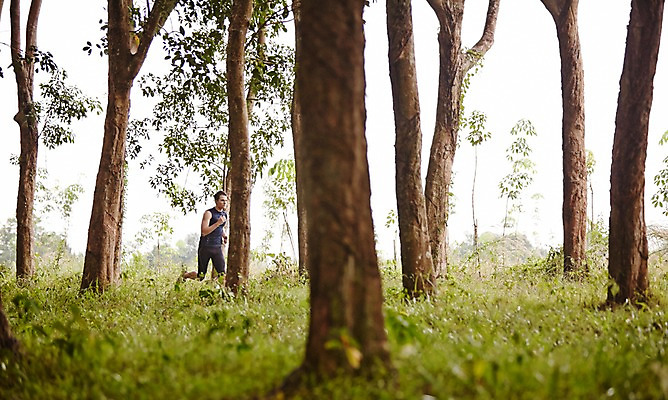 포토 JPG 주간 전신 서양인 외국인 나무 해외기획촬영 공원 남자 모션 2014년태국 한명 사람 성인 야외 옆모습 30대 운동복 달리기 운동 풀 목표 열정 성인남자한명만 장년만 장년남자만 장년남자한명만 국내포토 자연요소 식물 1 옷 공공시설 감정 뷰포인트 컨셉 건강 인종 장년 남자만 남자한명만 성인남자만 성인만 파일형식