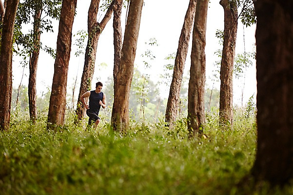 포토 JPG 주간 전신 서양인 외국인 나무 해외기획촬영 공원 남자 모션 2014년태국 한명 사람 성인 야외 앞모습 30대 운동복 달리기 운동 풀 목표 열정 성인남자한명만 장년만 장년남자만 장년남자한명만 국내포토 자연요소 식물 1 옷 공공시설 감정 뷰포인트 컨셉 건강 인종 장년 남자만 남자한명만 성인남자만 성인만 파일형식