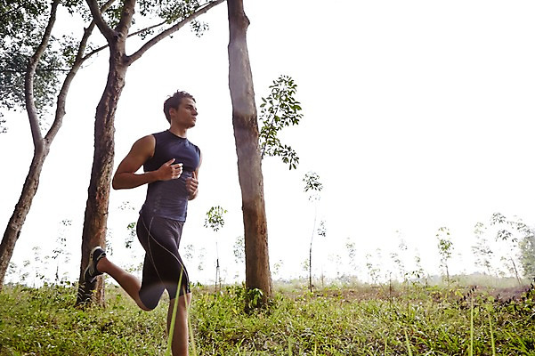 포토 JPG 주간 전신 서양인 외국인 나무 해외기획촬영 공원 남자 모션 2014년태국 한명 사람 성인 야외 옆모습 30대 운동복 달리기 운동 풀 목표 열정 성인남자한명만 장년만 장년남자만 장년남자한명만 국내포토 자연요소 식물 1 옷 공공시설 감정 뷰포인트 컨셉 건강 인종 장년 남자만 남자한명만 성인남자만 성인만 파일형식