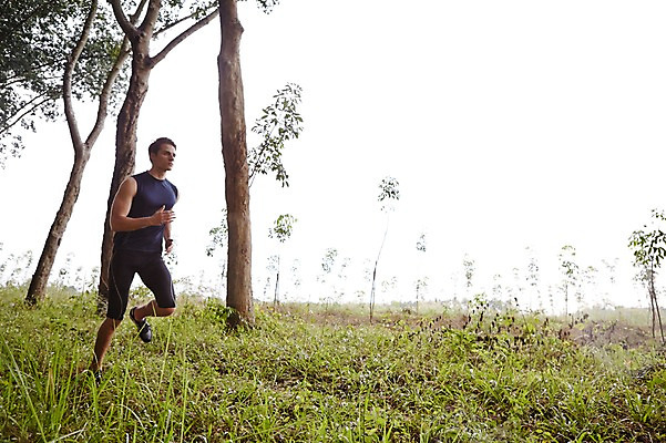 포토 JPG 주간 전신 서양인 외국인 나무 해외기획촬영 공원 남자 모션 2014년태국 한명 사람 성인 야외 앞모습 30대 운동복 달리기 운동 풀 목표 열정 성인남자한명만 장년만 장년남자만 장년남자한명만 국내포토 자연요소 식물 1 옷 공공시설 감정 뷰포인트 컨셉 건강 인종 장년 남자만 남자한명만 성인남자만 성인만 파일형식