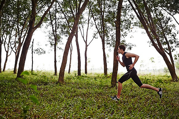 포토 JPG 주간 전신 서양인 외국인 나무 해외기획촬영 공원 남자 모션 2014년태국 한명 사람 성인 야외 옆모습 30대 운동복 달리기 운동 풀 목표 열정 성인남자한명만 장년만 장년남자만 장년남자한명만 국내포토 자연요소 식물 1 옷 공공시설 감정 뷰포인트 컨셉 건강 인종 장년 남자만 남자한명만 성인남자만 성인만 파일형식
