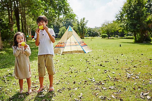 포토 JPG 주간 전신 서양인 외국인 백인 해외기획촬영 공원 여자 남자 딸 아들 어린이 빵 모션 남매 텐트 2014년태국 서기 들기 사람 잔디 야외 두명 앞모습 캠핑 먹기 즐거움 어린이만 국내포토 자연요소 식물 공공시설 감정 음식 뷰포인트 가족 레저 캠핑도구 인종 파일형식