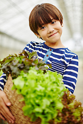 포토 JPG 주간 서양인 외국인 해외기획촬영 남자 아들 어린이 채소 모션 2014년태국 한명 서기 미소 들기 사람 상반신 야외 앞모습 농장 바구니 체험 상추 즐거움 어린이만 소년만 소년한명만 국내포토 자연요소 1 감정 뷰포인트 컨셉 농업 가족 표정 인종 남자만 남자한명만 파일형식
