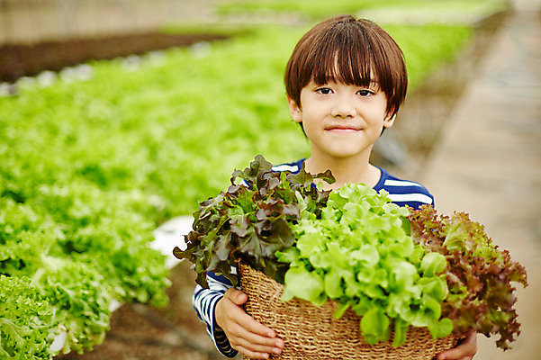 포토 JPG 주간 서양인 외국인 해외기획촬영 남자 아들 어린이 채소 모션 2014년태국 한명 서기 미소 들기 사람 상반신 야외 앞모습 농장 바구니 체험 상추 즐거움 어린이만 소년만 소년한명만 국내포토 자연요소 1 감정 뷰포인트 컨셉 농업 가족 표정 인종 남자만 남자한명만 파일형식