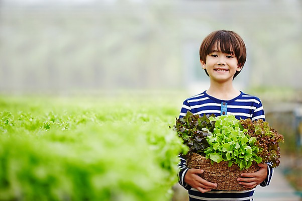 포토 JPG 주간 서양인 외국인 해외기획촬영 남자 아들 어린이 채소 모션 2014년태국 한명 서기 미소 들기 사람 상반신 야외 앞모습 농장 바구니 체험 상추 즐거움 어린이만 소년만 소년한명만 국내포토 자연요소 1 감정 뷰포인트 컨셉 농업 가족 표정 인종 남자만 남자한명만 파일형식