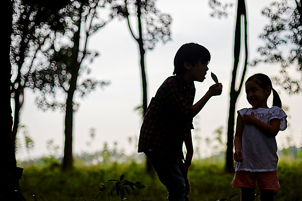 포토 JPG 주간 서양인 외국인 나무 백인 해외기획촬영 공원 여자 남자 딸 아들 어린이 모션 남매 2014년태국 서기 사람 상반신 야외 두명 즐거움 역광 어린이만 국내포토 자연요소 식물 공공시설 감정 가족 인종 파일형식