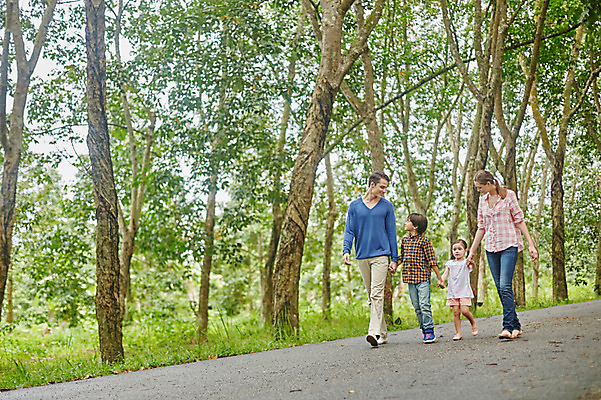 포토 JPG 주간 전신 서양인 외국인 나무 백인 해외기획촬영 공원 여자 남자 딸 아들 어린이 가족 모션 엄마 휴식 2014년태국 사람 여러명 성인 야외 앞모습 30대 걷기 손잡기 화목 산책 아빠 즐거움 국내포토 자연요소 식물 공공시설 감정 뷰포인트 다수 컨셉 관계 인종 장년 파일형식
