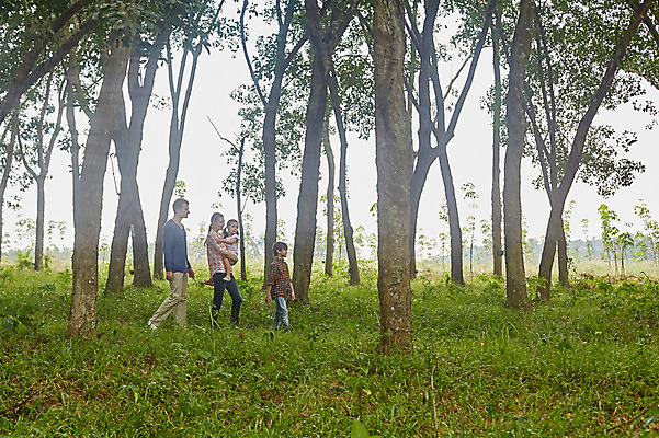 포토 JPG 주간 전신 서양인 외국인 나무 백인 해외기획촬영 공원 여자 남자 딸 아들 어린이 가족 안기 모션 엄마 휴식 2014년태국 사람 잔디 여러명 성인 야외 옆모습 30대 걷기 화목 산책 아빠 즐거움 국내포토 자연요소 식물 공공시설 감정 뷰포인트 다수 컨셉 관계 인종 장년 파일형식