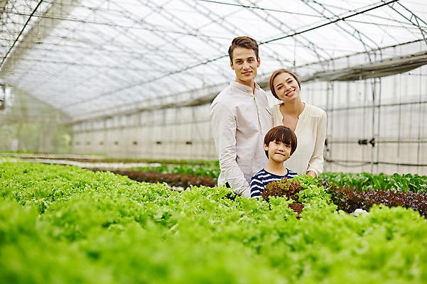 포토 JPG 주간 서양인 외국인 백인 해외기획촬영 여자 남자 아들 어린이 채소 가족 모션 엄마 휴식 2014년태국 서기 미소 사람 상반신 성인 야외 앞모습 세명 30대 농장 화목 산책 체험 아빠 상추 즐거움 비닐하우스 국내포토 자연요소 감정 뷰포인트 컨셉 농업 관계 표정 인종 장년 파일형식