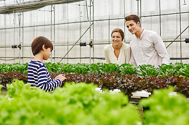 포토 JPG 주간 서양인 외국인 백인 해외기획촬영 여자 남자 아들 어린이 채소 가족 모션 엄마 휴식 2014년태국 서기 웃음 사람 상반신 성인 야외 앞모습 옆모습 세명 30대 농장 화목 산책 체험 아빠 상추 즐거움 비닐하우스 국내포토 자연요소 감정 뷰포인트 컨셉 농업 관계 표정 인종 장년 파일형식