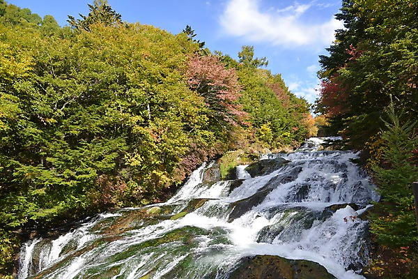 포토 JPG 주간 나무 식물 구름 자연 하늘 풍경 사람없음 야외 물 계곡 폭포 흐름 숲 국내포토 자연요소 컨셉 생태계 파일형식