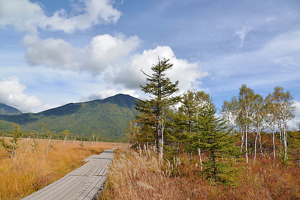포토 JPG 주간 나무 식물 길 자연 하늘 산 풍경 사람없음 야외 맑음 오솔길 국내포토 자연요소 날씨 생태계 파일형식