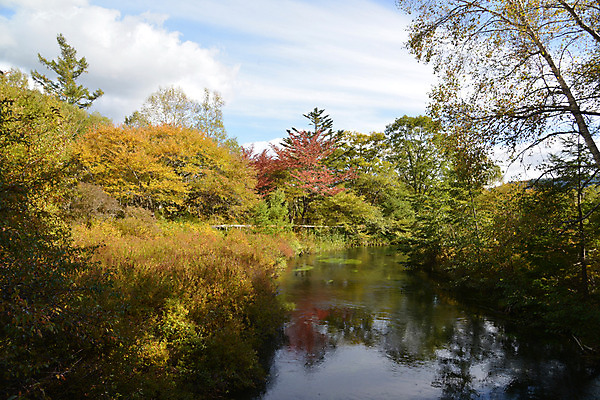 포토 JPG 주간 나무 식물 구름 호수 자연 하늘 풍경 사람없음 야외 숲 국내포토 자연요소 생태계 파일형식