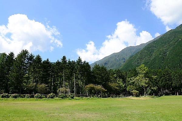 포토 JPG 주간 나무 식물 구름 자연 하늘 산 풍경 초원 사람없음 야외 숲 국내포토 자연요소 생태계 파일형식