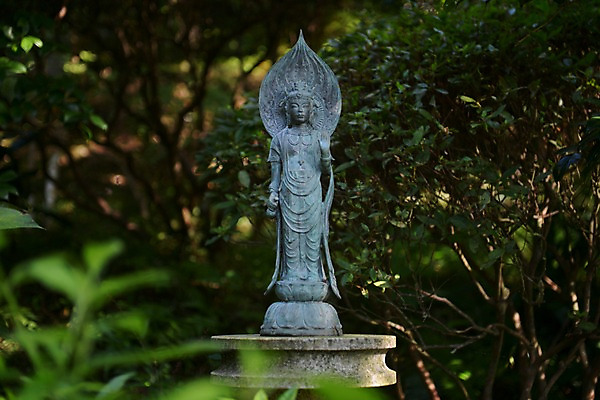 포토 JPG 주간 나무 식물 전통 해외풍경 아시아 종교 일본문화 종교시설 풍경 사람없음 야외 아웃포커스 조형물 동상 일본 사찰 사원 숲 불상 일본전통 청동 가마쿠라 국내포토 자연요소 동양문화 해외 나라 외국문화 불교 비즈니스 종교건축 촬영기법 미술 시설 기념물 파일형식