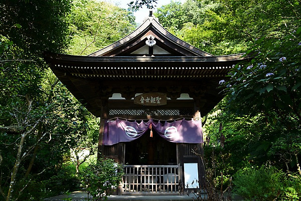 포토 JPG 주간 나무 식물 전통 해외풍경 건축물 아시아 종교 고건축 일본문화 종교시설 풍경 사람없음 야외 일본 동양건축 사찰 사원 숲 일본전통 일본건축 가마쿠라 제단 국내포토 자연요소 동양문화 해외 건축 나라 외국문화 비즈니스 종교건축 시설 파일형식 동양