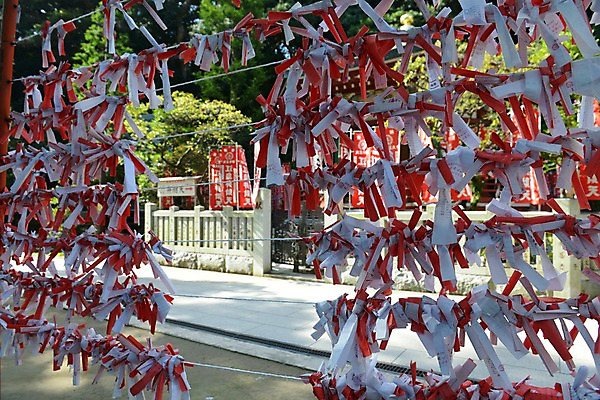 포토 JPG 주간 전통 해외풍경 아시아 종교 종이 일본문화 종교시설 풍경 사람없음 야외 일본 운세 사찰 사원 일본전통 미신 오미쿠지 국내포토 자연요소 동양문화 해외 나라 외국문화 비즈니스 종교건축 시설 파일형식