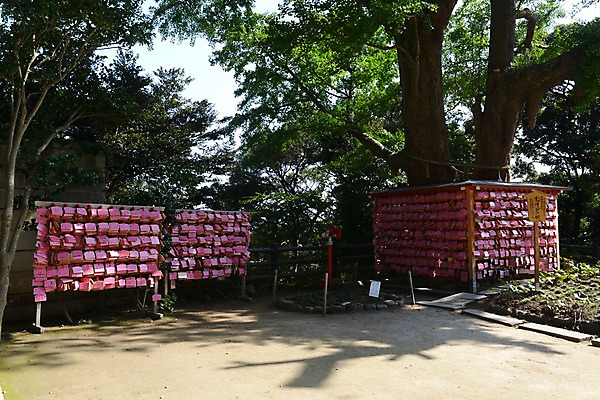 포토 JPG 주간 나무 식물 전통 해외풍경 아시아 종교 일본문화 종교시설 풍경 사람없음 야외 일본 기도 사찰 사원 일본전통 소원 에마 국내포토 자연요소 동양문화 해외 나라 외국문화 비즈니스 종교건축 시설 파일형식