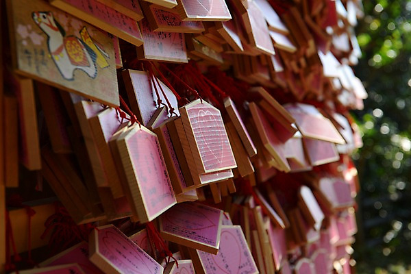 포토 JPG 주간 나무 전통 해외풍경 아시아 종교 일본문화 종교시설 풍경 근접촬영 사람없음 야외 아웃포커스 일본 기도 말_동물 사찰 사원 일본전통 소원 에마 국내포토 자연요소 식물 동양문화 해외 나라 뷰포인트 외국문화 비즈니스 포유류 종교건축 촬영기법 시설 파일형식