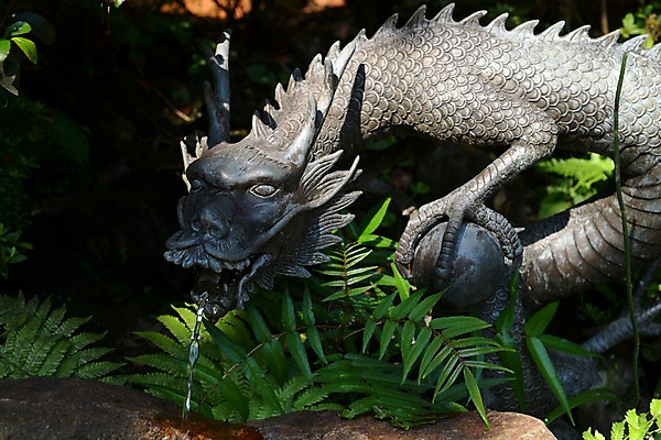 포토 JPG 주간 식물 동물 전통 해외풍경 아시아 종교 일본문화 종교시설 나뭇잎 풍경 사람없음 야외 물 조형물 일본 흐름 용 사찰 사원 일본전통 동물모양 여의주 국내포토 자연요소 모양 동양문화 해외 나라 외국문화 컨셉 잎 비즈니스 종교건축 미술 시설 파일형식