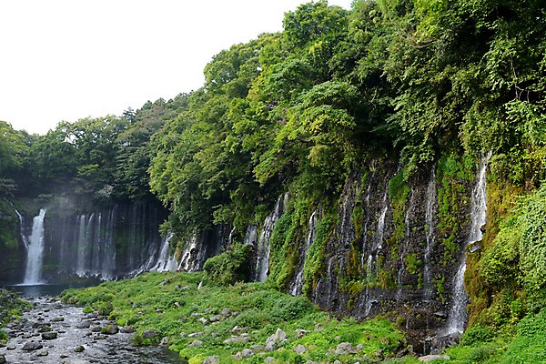 포토 JPG 주간 나무 식물 자연 풍경 사람없음 야외 물 계곡 폭포 흐름 떨어짐 숲 국내포토 자연요소 컨셉 생태계 파일형식