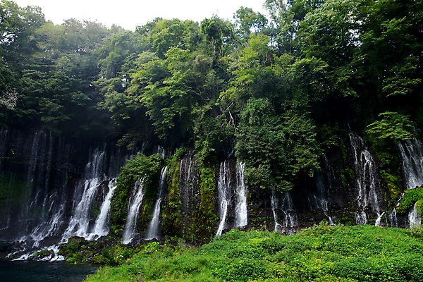 포토 JPG 주간 나무 식물 자연 풍경 사람없음 야외 물 계곡 폭포 흐름 떨어짐 숲 국내포토 자연요소 컨셉 생태계 파일형식