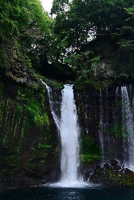 포토 JPG 주간 나무 식물 자연 이끼 풍경 사람없음 야외 물 계곡 폭포 흐름 떨어짐 숲 국내포토 자연요소 컨셉 생태계 파일형식