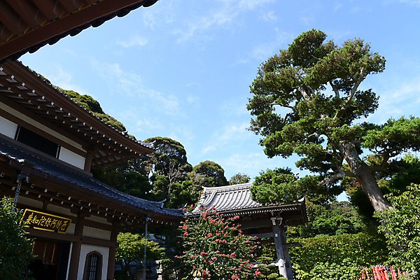 포토 JPG 주간 나무 식물 구름 전통 해외풍경 건축물 꽃 고건축 일본문화 하늘 풍경 사람없음 야외 일본 사찰 사원 일본전통 가마쿠라 국내포토 자연요소 동양문화 해외 건축 아시아 외국문화 비즈니스 종교건축 파일형식