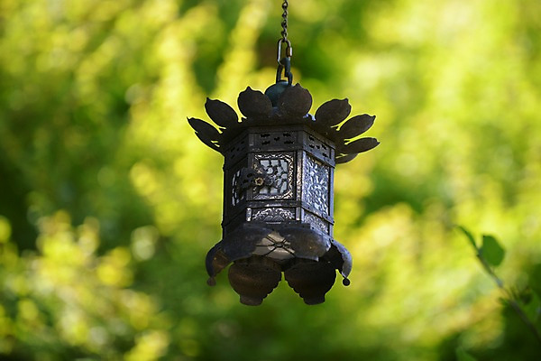 포토 JPG 주간 전통 해외풍경 일본문화 조명 전통소품 풍경 사람없음 야외 아웃포커스 일본 사찰 사원 오브젝트 일본전통 전통등 가마쿠라 국내포토 자연요소 동양문화 해외 아시아 외국문화 종교건축 촬영기법 파일형식