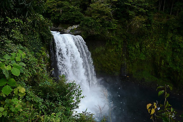 포토 JPG 주간 식물 자연 풍경 사람없음 야외 물 계곡 폭포 흐름 숲 국내포토 자연요소 컨셉 생태계 파일형식