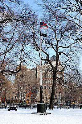포토 JPG 주간 나무 식물 해외풍경 건축물 계절 겨울 벤치 의자 아메리카 풍경 빌딩 사람없음 야외 도시풍경 미국 눈 깃발 도시 성조기 국기 뉴욕 맨해튼 국내포토 자연요소 해외 건축 가구 북아메리카 날씨 건물 대륙 파일형식